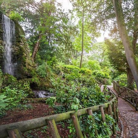 טולוז Calme Appart Renove Jardin Des Plantes Busca מראה חיצוני תמונה